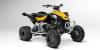 DS 450 X MX