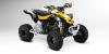 DS 450 X xc